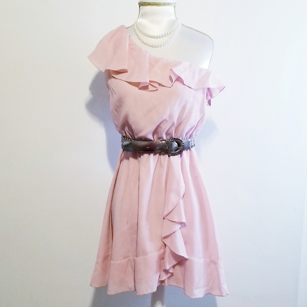 NWT Beta House Pink One Shoulder Ruffled Dress - Picture 6 of 13